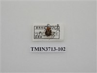 藏品(金龜子科)的圖片